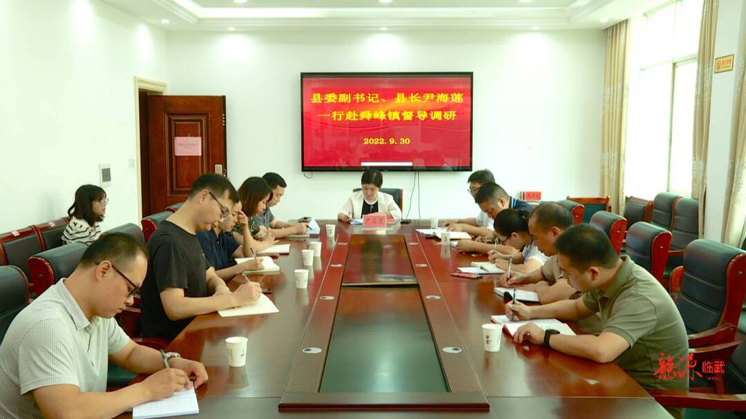 尹海莲调研督导舜峰镇近期重点工作
