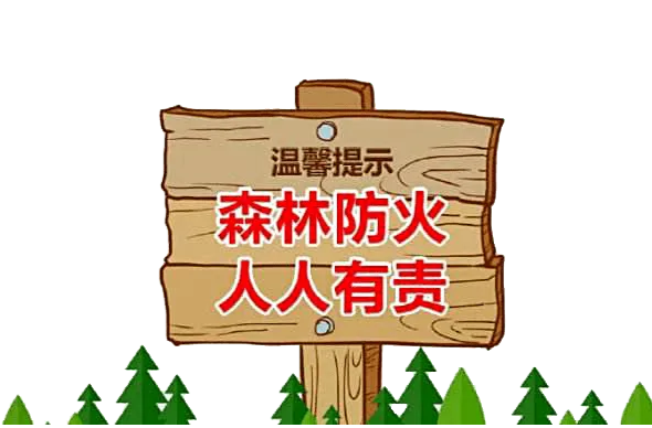 省森防指命令！采取八条断然措施坚决防范遏制森林火灾