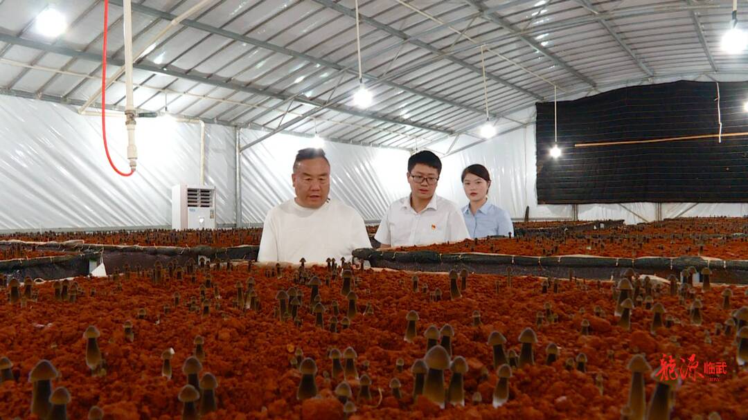 聚焦十大重点工作·环境大优化｜金融稳经济农行在行动 累计发放贷款2.6亿元