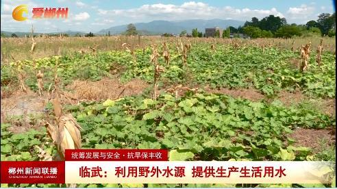 【郴州新闻联播】统筹发展与安全·抗旱保丰收 临武：利用野外水源 提供生产生活用水