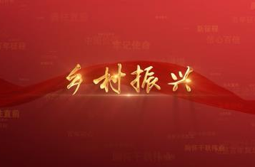 百年党史潮青年：第一百集《乡村振兴》