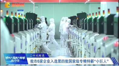 【郴州新闻联播】二十大时光：我市6家企业入选第四批国家级专精特新“小巨人”