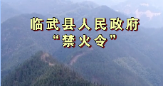 临武县人民政府“禁火令”