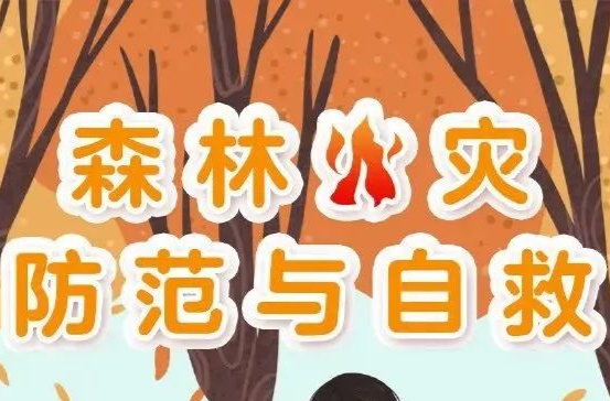 森林防火指南，看这里！！