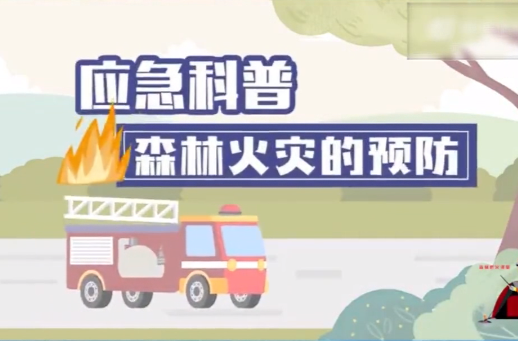 应急科普｜森林火灾的预防