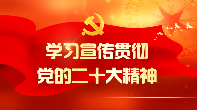 学习宣传贯彻党的二十大精神