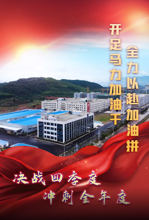 【决战四季度 冲刺全年度】临武：开足马力加油干 全力以赴加油拼