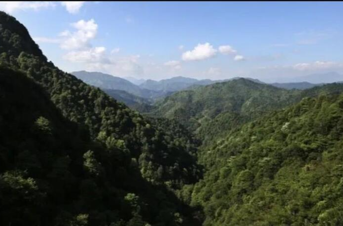 森林火险等级高！11月湖南高温干旱持续发展