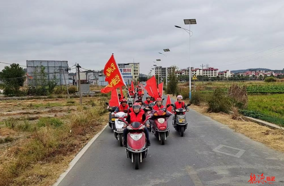 武水镇：“三员一体”防患未然