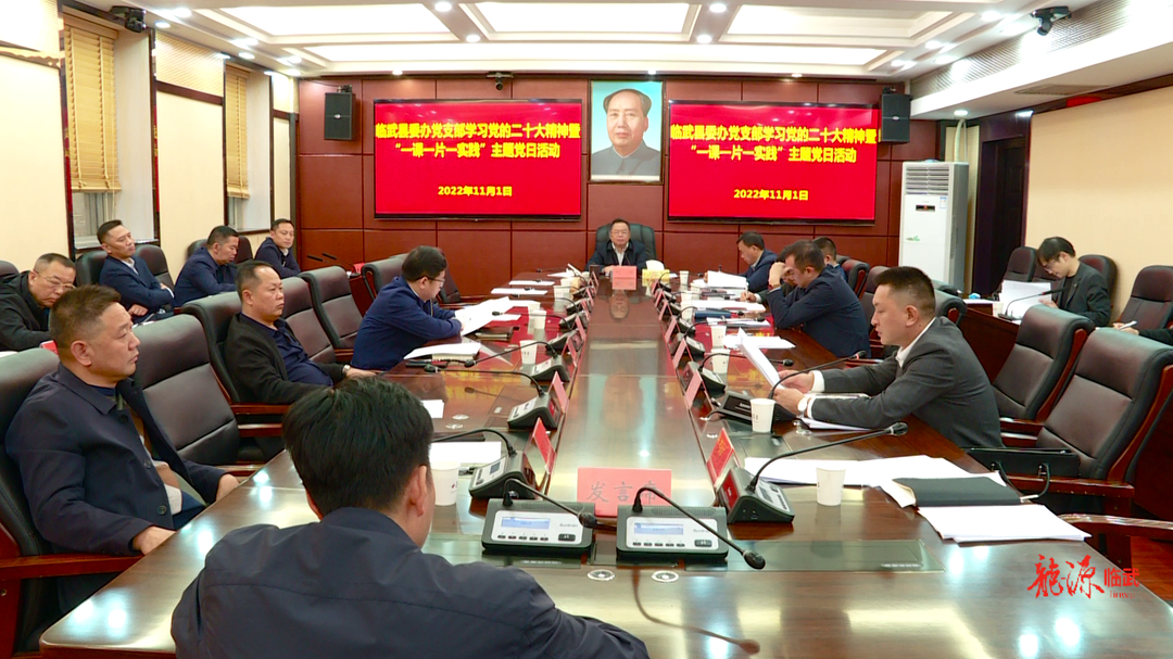 临武县委办党支部开展学习党的二十大精神暨“一课一片一实践”主题党日活动