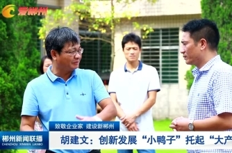 【郴州新闻联播】致敬企业家 建设新郴州·胡建文：创新发展“小鸭子”托起“大产业”