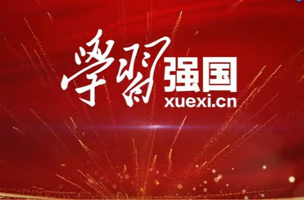 【学习强国】湖南临武：退役军人志愿服务队的身影最美