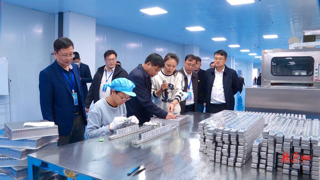 临武县政协开展“坚持五好标准 建设五好园区” 专题视察