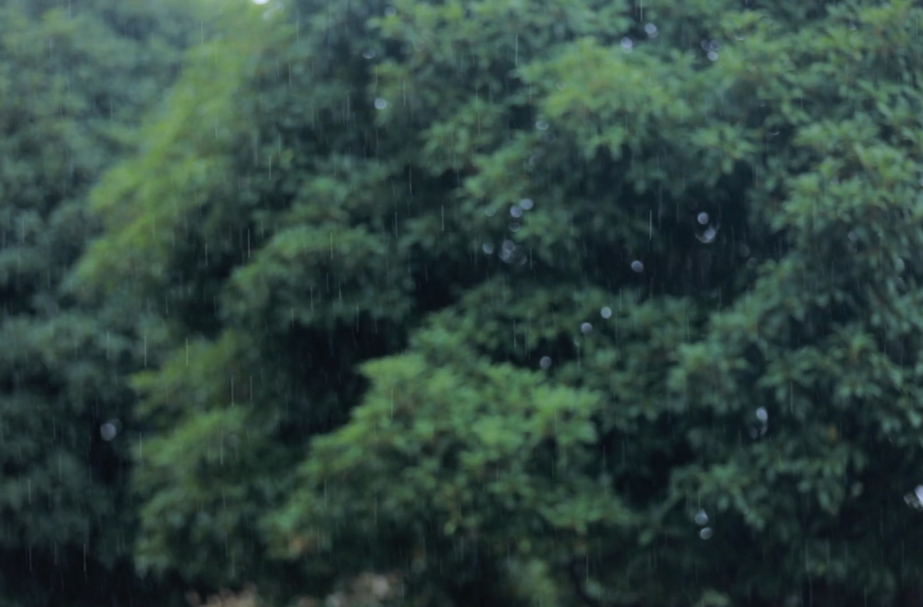 临武县迎来7月8日以来首次有效降雨