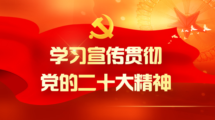 学习宣传贯彻党的二十大精神：全面推进乡村振兴 共绘美丽乡村画卷