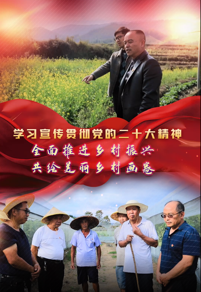 【学习宣传贯彻党的二十大精神·记者走基层】临武：全面推进乡村振兴 共绘美丽乡村画卷