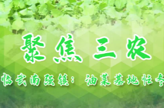 【新湖南】郴州临武南强镇：油菜基地忙冬种