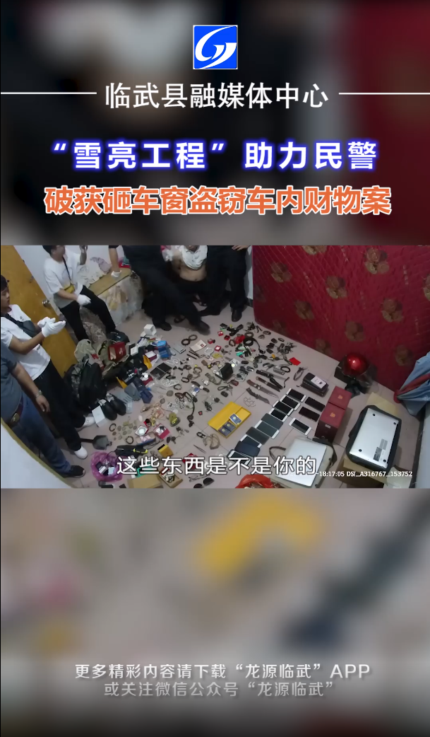 “雪亮工程”助力民警  临武破获砸车窗盗窃车内财物案