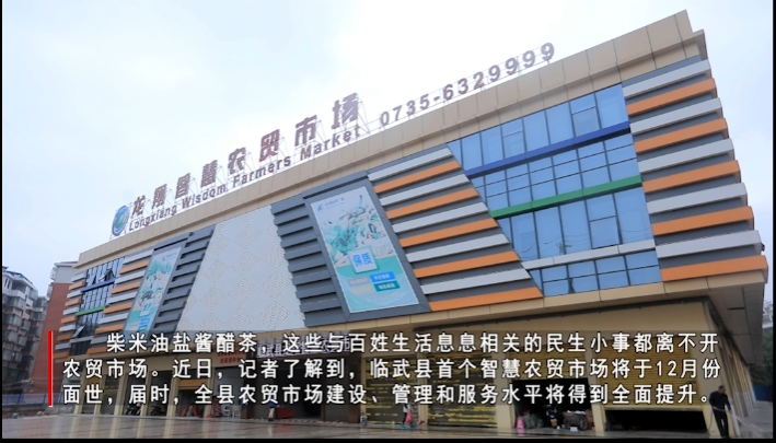 冲刺四季度 决胜全年度丨临武县首个智慧农贸市场预计12月试运营