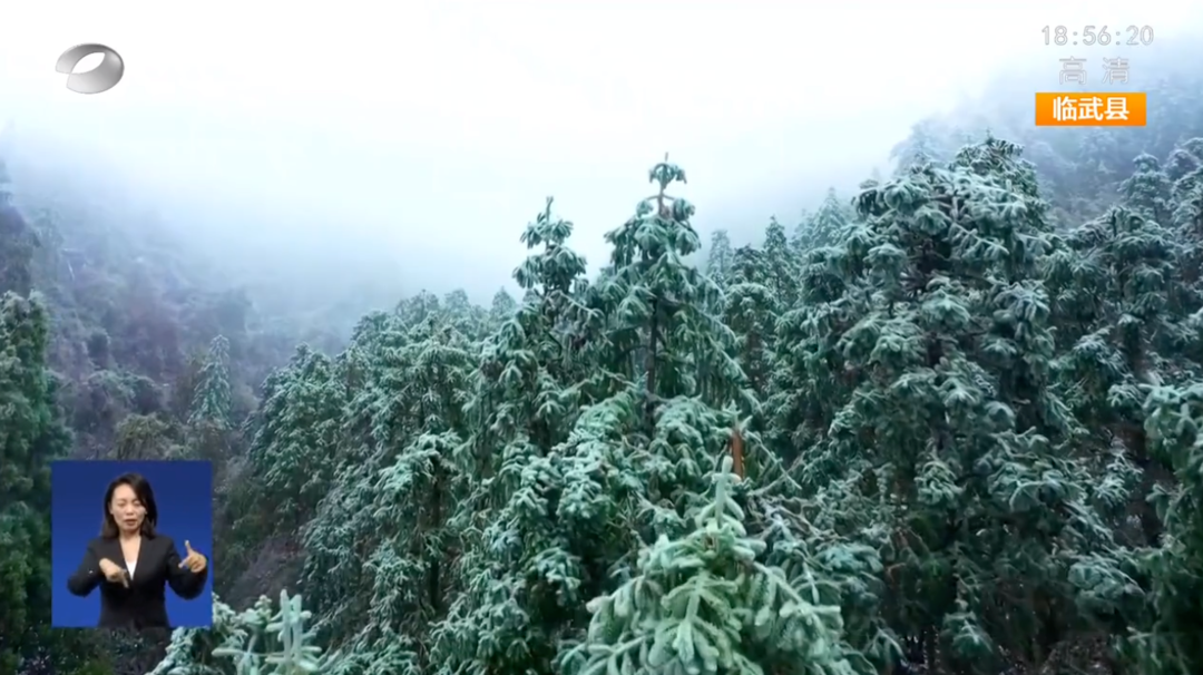 【湖南新闻联播】雪后林海 苍茫壮阔