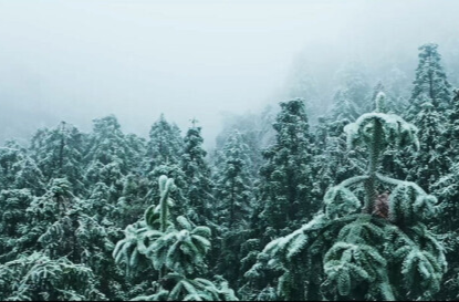 【新湖南】郴州临武：西瑶绿谷冰雪美景醉游人