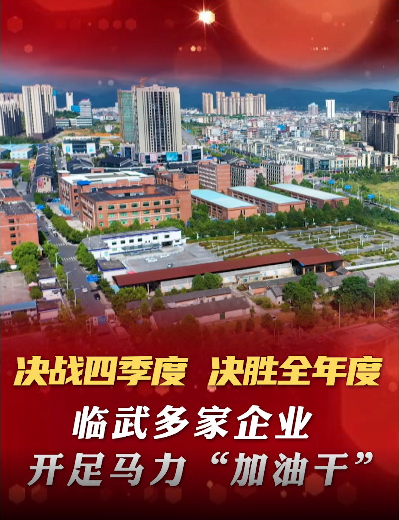 【决战四季度 决胜全年度】临武多家企业开足马力“加油干”.