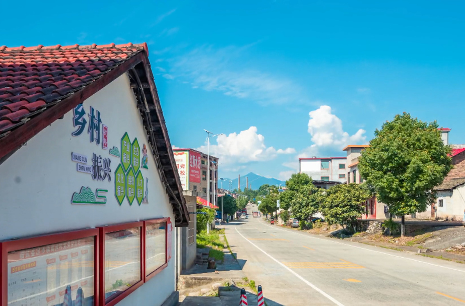 聚焦十大重点工作·乡村大振兴｜乡村振兴路 坚定跟党走