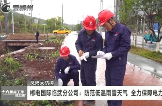 【爱郴州 十大重点工作进行时】风险大防控 郴电国际临武分公司：防范低温雨雪天气 全力保障电力供应