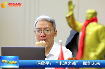 【爱郴州】你好！新郴商｜汤欣平：“电池之都” 赋能未来