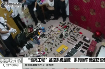 【天天播报】法治郴州·临武：“雪亮工程”监控系统显威 系列砸车窗盗窃案告破