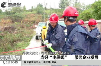 【天天播报】环境大优化·郴电国际临武分公司：当好“电保姆” 服务企业发展