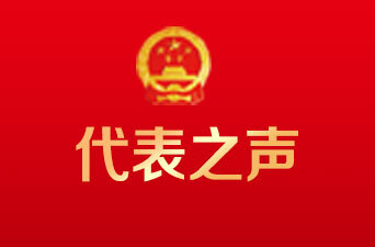 代表之声｜加强产业园区基础设施建设 规范化系统化改造排水系统