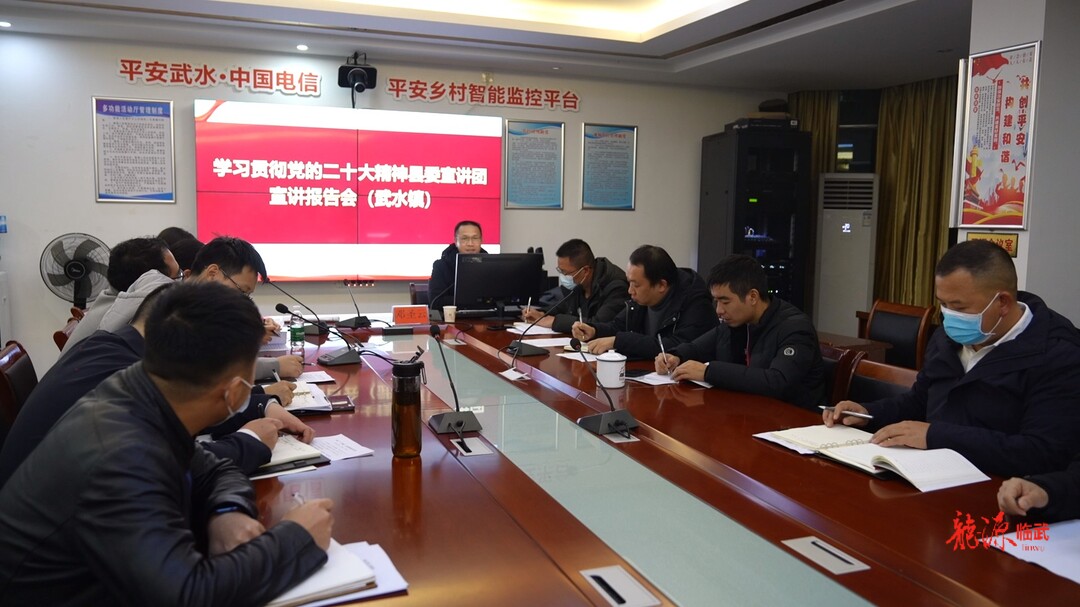 大宣讲 深调研 解难题 促发展 抓落实｜武水镇学习宣传贯彻党的二十大精神