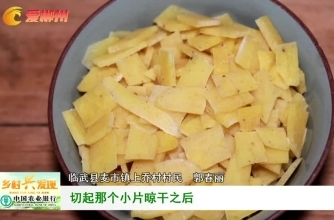 【爱郴州】年味·临武县麦市镇上乔村：一碗“油茶”寄乡思