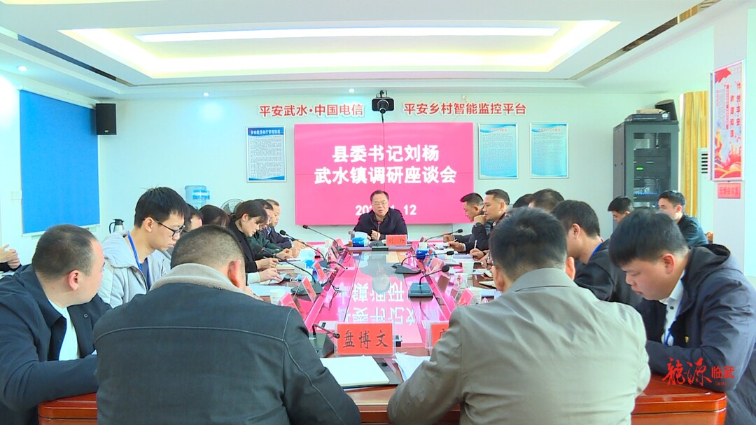 刘杨到武水镇调研：为全县乡镇工作立标打样