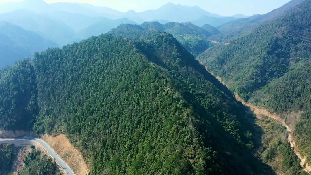 喜讯！临武县西山国有林场获评全国“十佳林场”