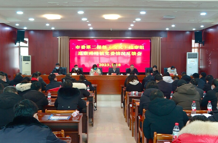 市委第二提级（交叉）巡察组向舜峰镇党委反馈巡察情况