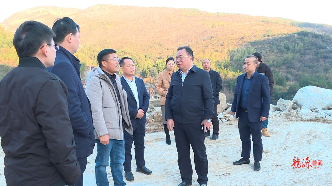 刘杨调研临武县锂电新能源产业：全力助推企业尽快投产达效