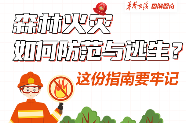 【科普动起来】图解|森林火灾如何防范与逃生？这份指南要牢记