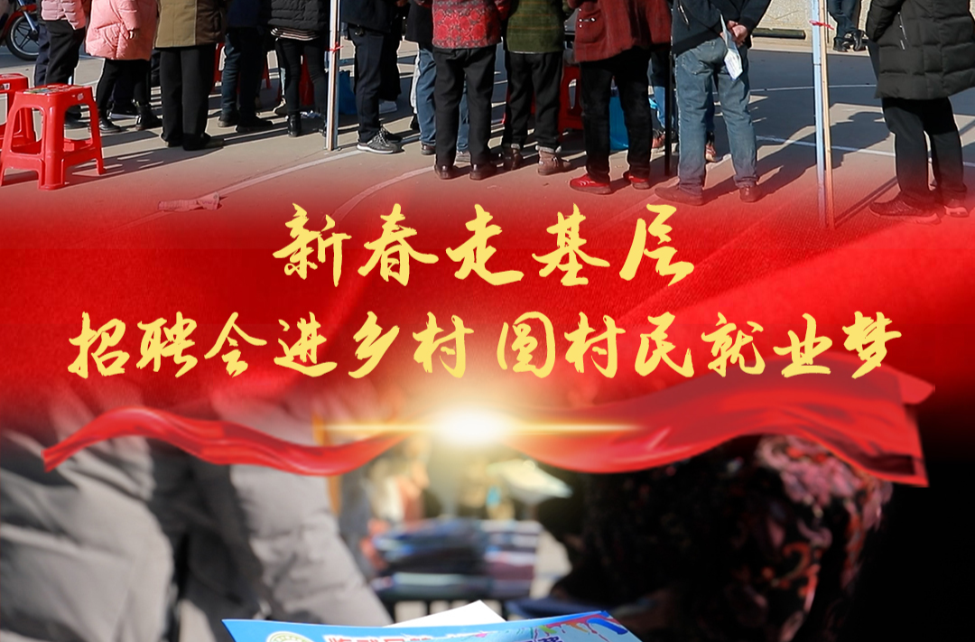 新春走基层｜临武：招聘会进乡村 圆村民就业梦