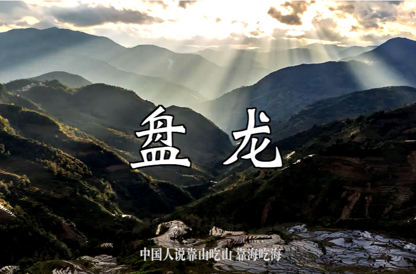微电影｜盘龙