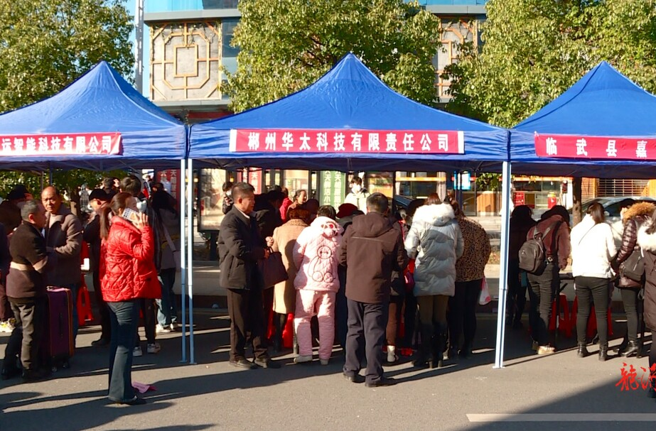 “春风”送岗惠民生 铆足干劲促就业