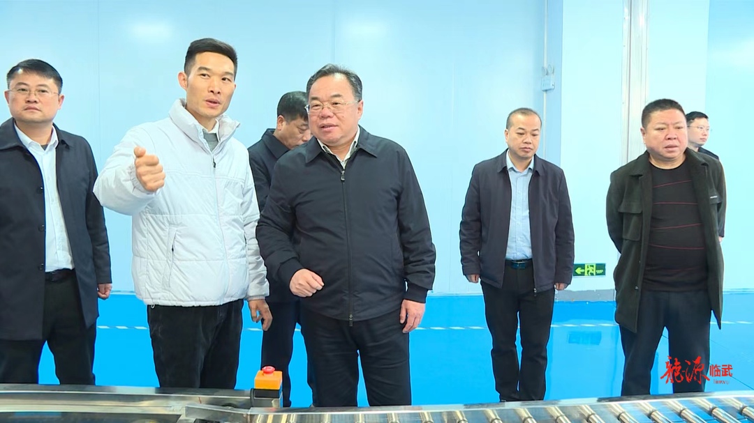 刘杨到临武县产业开发区调研：勇担重任铸就临武辉煌未来