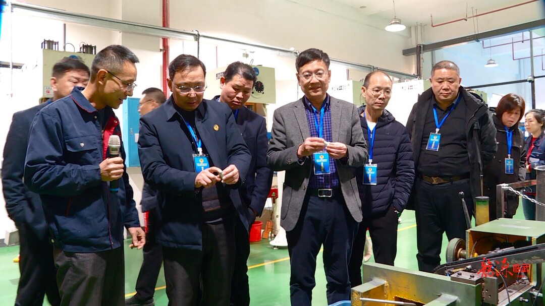 临武县政协开展“开工起航 委员先行”专题视察