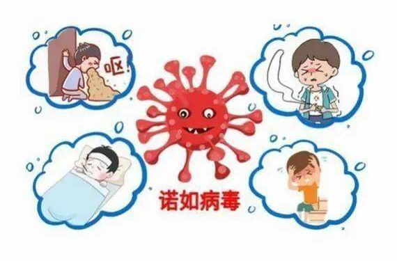 警惕诺如病毒来袭！专家支招如何防控