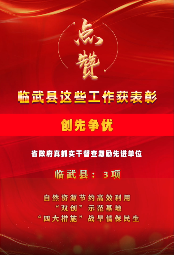 点赞！临武县这些工作获表彰