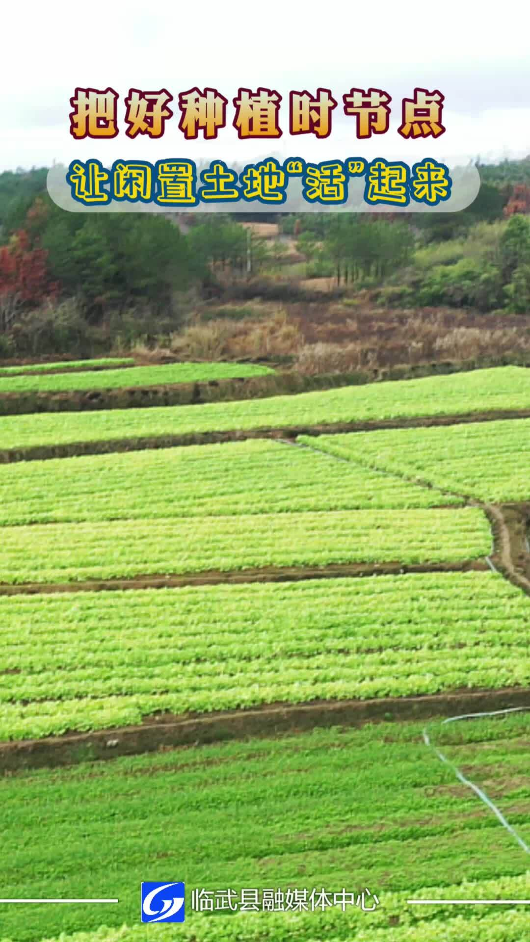 把好种植时节点 让闲置土地“活”起来
