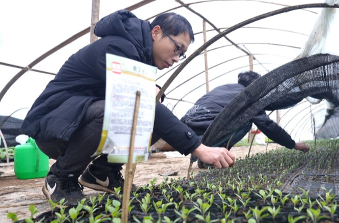 【新湖南】郴州临武：把好种植时节点 闲置土地“活”起来