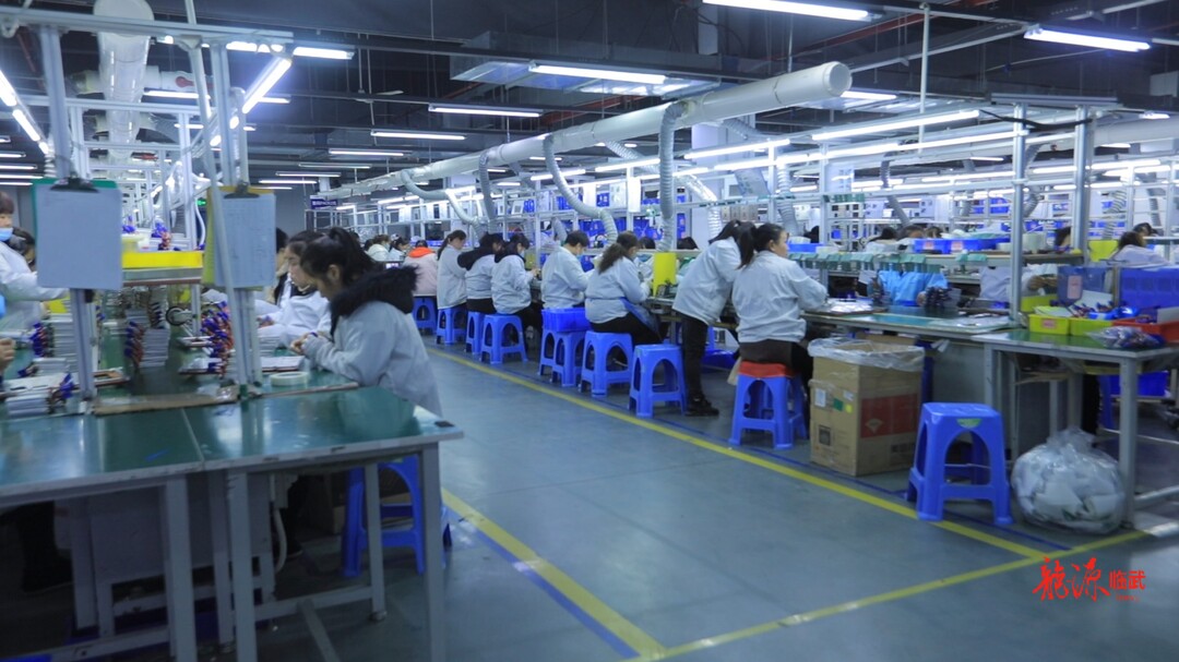 奋进的春天｜惠企政策出台  助力企业稳岗拓岗
