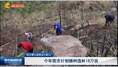 【郴州新闻联播】绿水青山就是金山银山：今年我市计划植树造林18万亩
